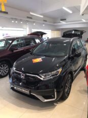 巴拿马Bahia Motors公司举行中国新春茶会