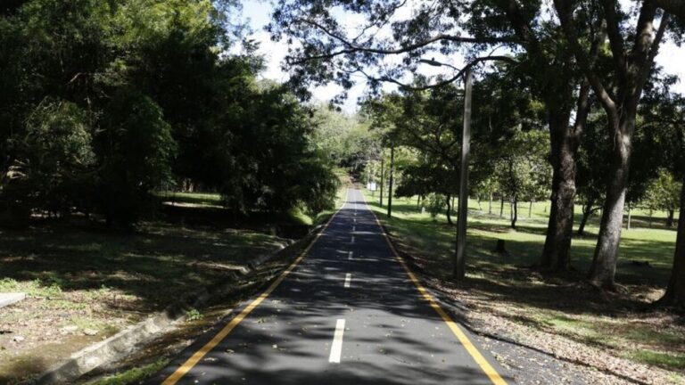 Parque Omar的“快乐夏天”免费注册仍然开放