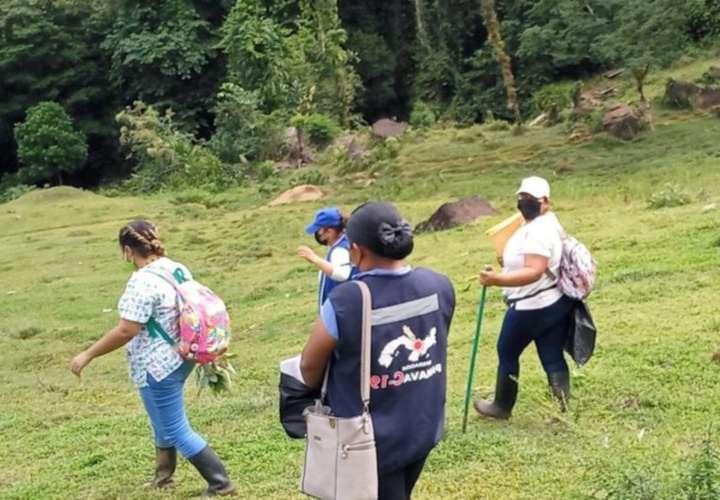 泛美卫生组织：巴拿马确诊病例和阳性率连续7周下降