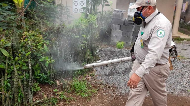 巴国卫生部否认芬兰共和国学校爆发登革热 