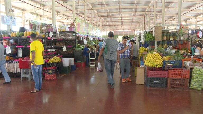 本周日 Merca Panamá 将重新营业.
