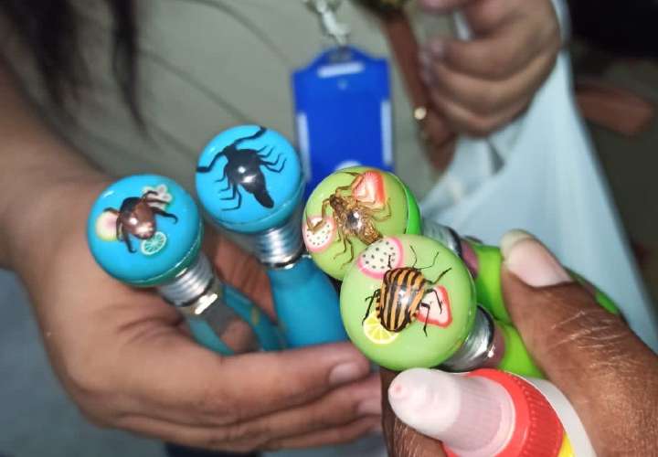 巴拿马与哥国联合“虫子”行动查获野生动物制品