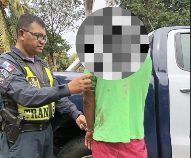 在运货卡车撞示威者事件后 人权监察员呼吁和平 