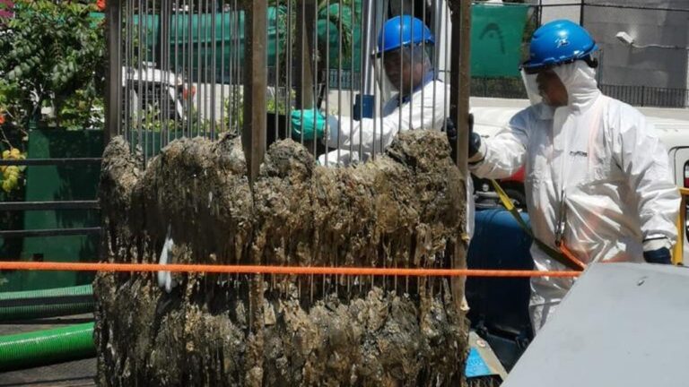 本周一湾区环卫工作使托库门地区产生恶臭