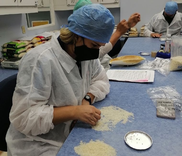 巴拿马63个大米品牌只有6个通过质量检测 