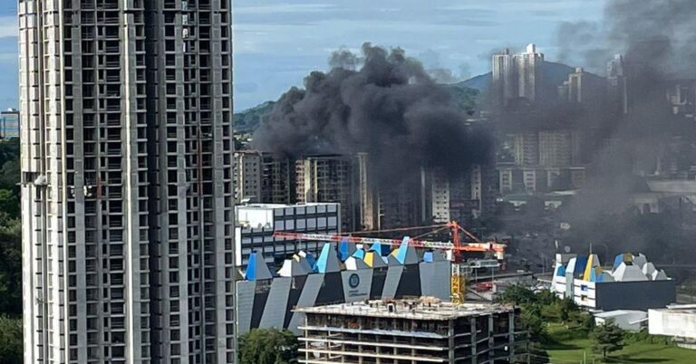 首都一大楼发生火灾致5只宠物死亡和1人受伤