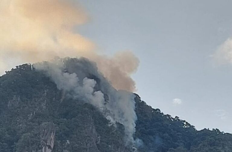 Cerro Punta山火大部分区域已得到控制
