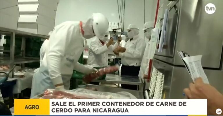 巴拿马首次向尼加拉瓜出口猪肉*