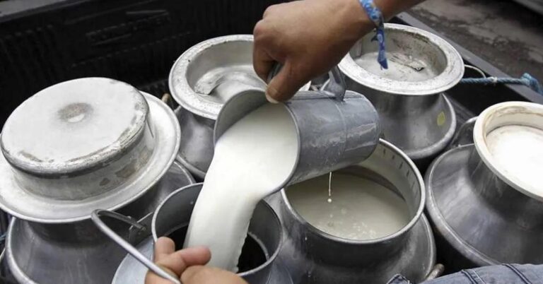 气候变化冲击乳品行业 生产者呼吁提升牛奶售价