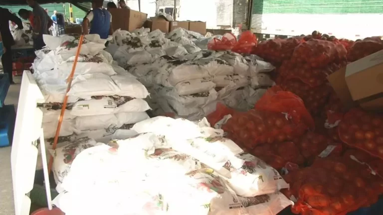 政府正考虑免费为困难家庭提供圣诞食品袋