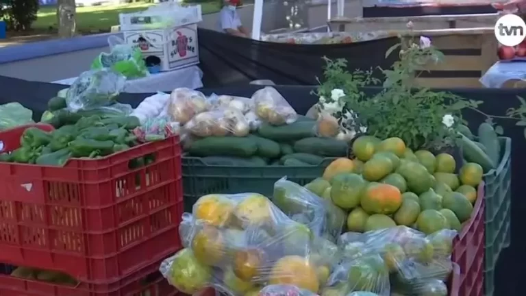 卫生部在奇省食品摊位进行检查行动.
