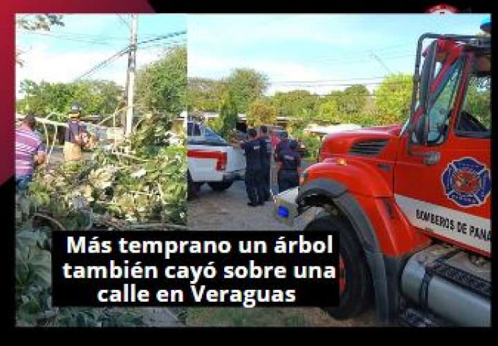 Guna Nega一对母子在家中遭树木倒塌身亡.