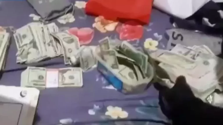 当局拆除以移民汇款为诱饵的犯罪团伙.