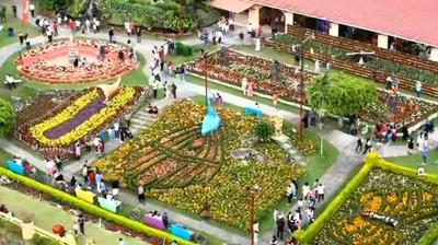 国际花卉与咖啡博览会为当地带来超500万美元收益.