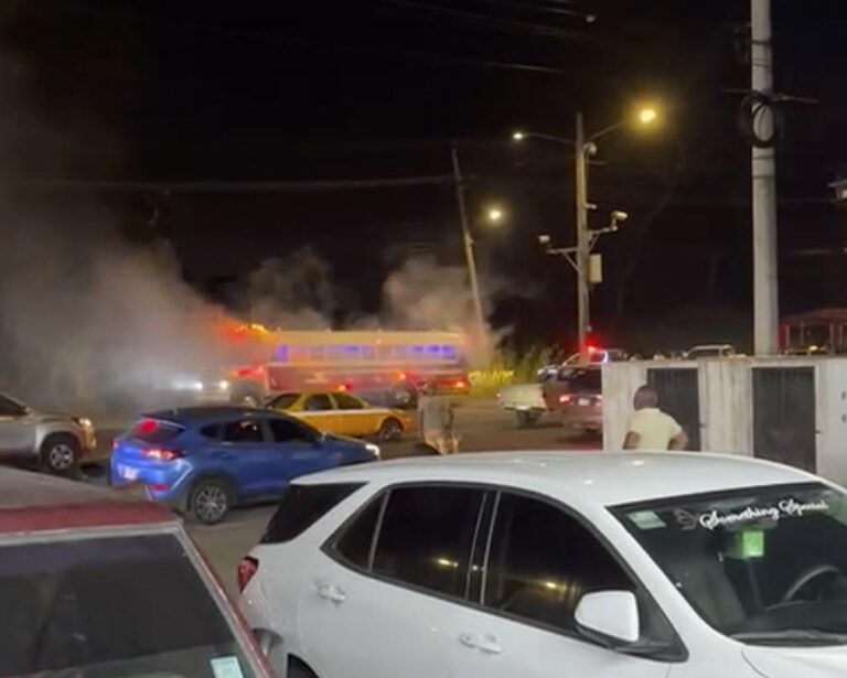 科隆一公交车起火致一未成年人死亡.