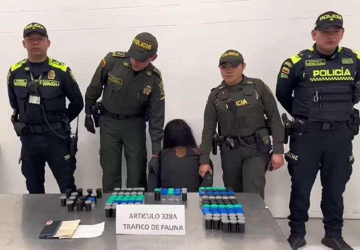 试图在巴拿马出售有毒青蛙的巴西女子被捕.