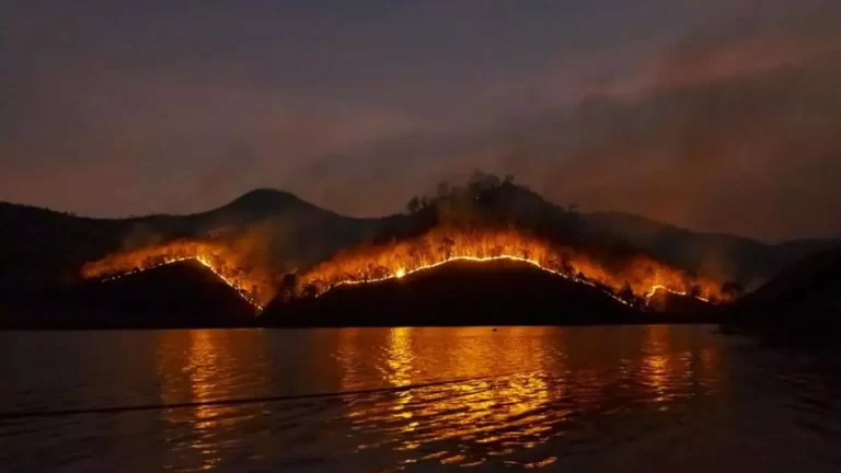 巴拿马全国多地发布火灾预警 严密监控火势蔓延