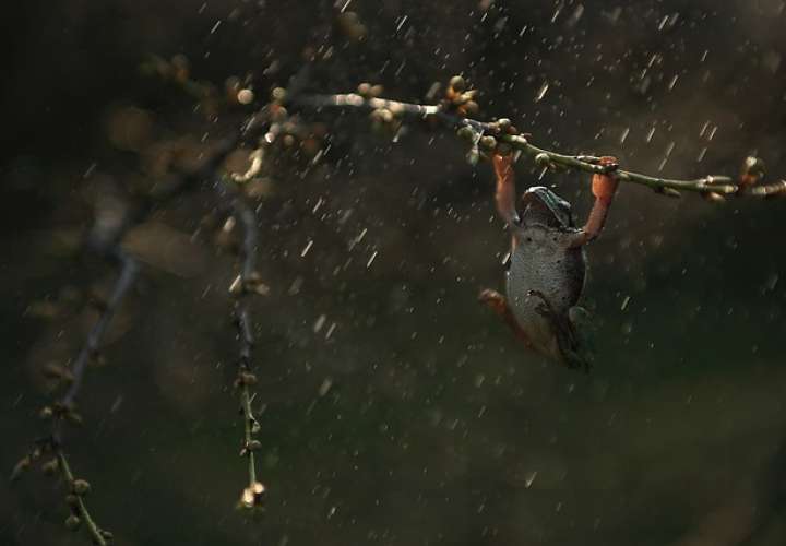 巴拿马位列全球降雨量第五的国家