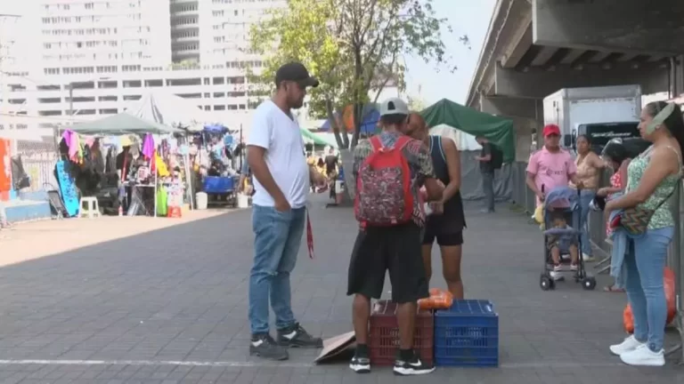 青年呼吁平等条件与机会：经济援助问题引发热议