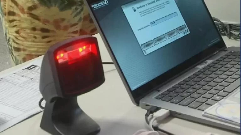  揭晓：提前投票与海外投票结果揭晓