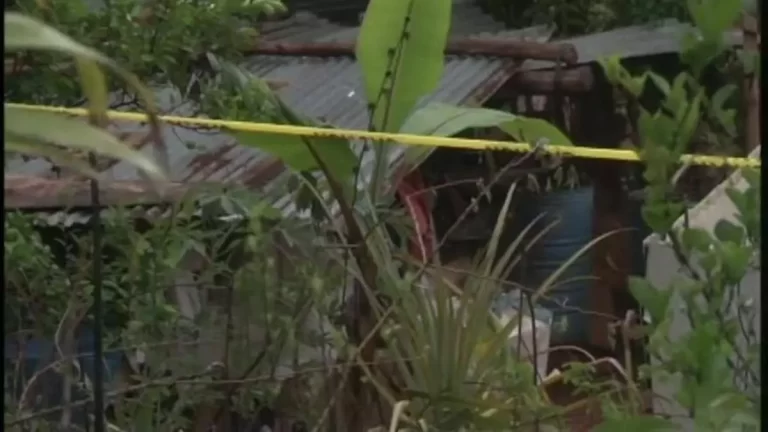 Veraguas一11岁男孩在采摘番石榴时触电身亡