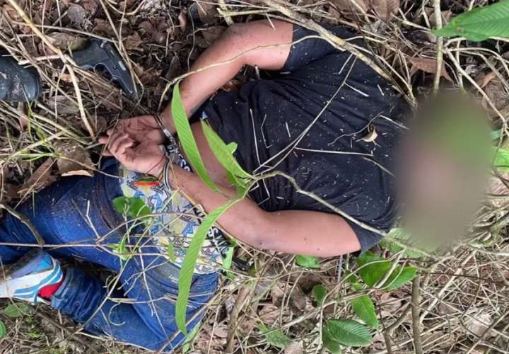 科隆警方逮捕三名抢劫载有三头牛皮卡车的嫌犯