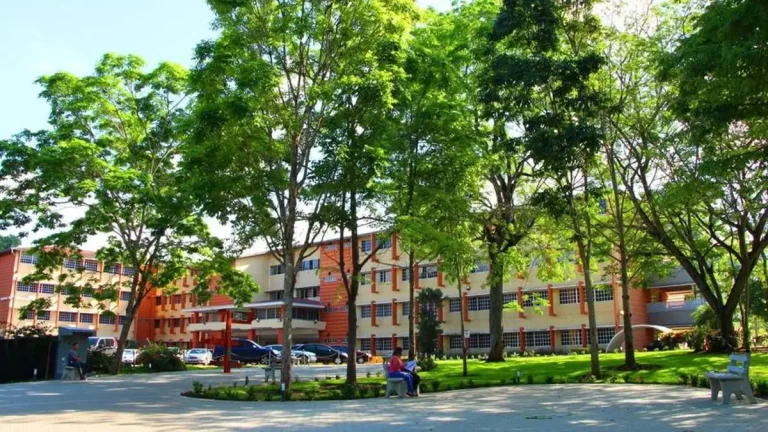 巴拿马科技大学UTP继续保持在国内外大学排名前列