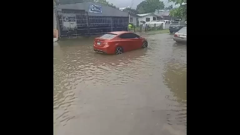 首都多个区域因大雨引发洪水