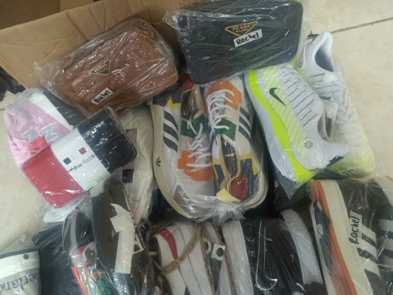 奇省海关查获假冒知名品牌鞋类