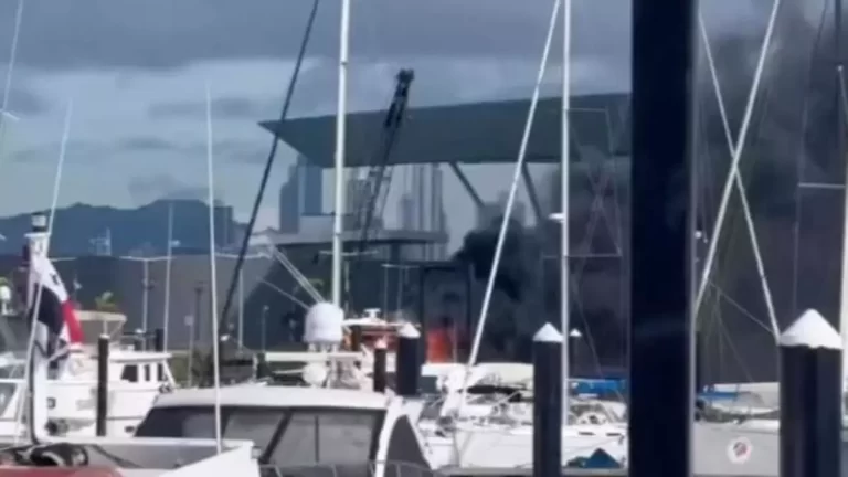 Amador锚地游艇发生火灾 海事局展开调查