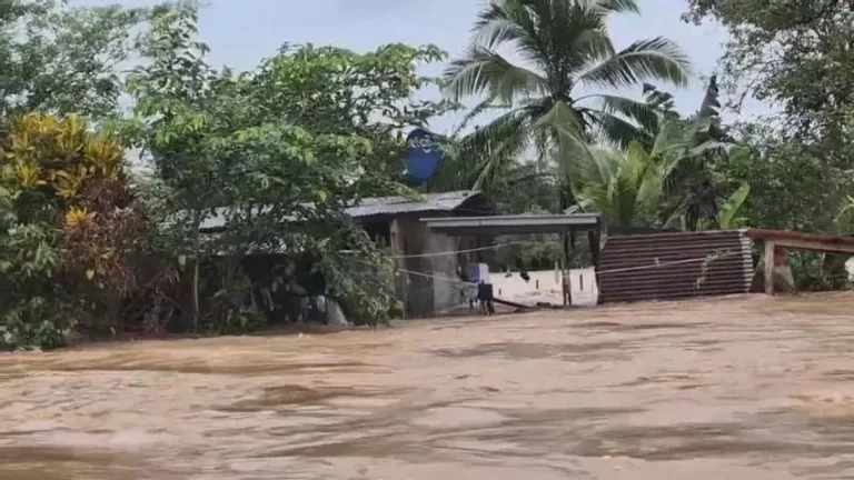 巴拿马暴雨：超770人受灾 150人住进收容所 540户家庭受影响