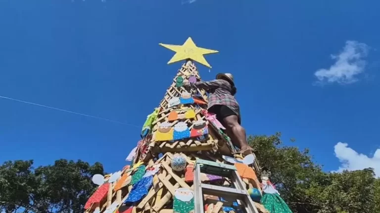  Penonomé的El Cocal庆祝圣诞节八周年：展示用自然材料打造的圣诞树