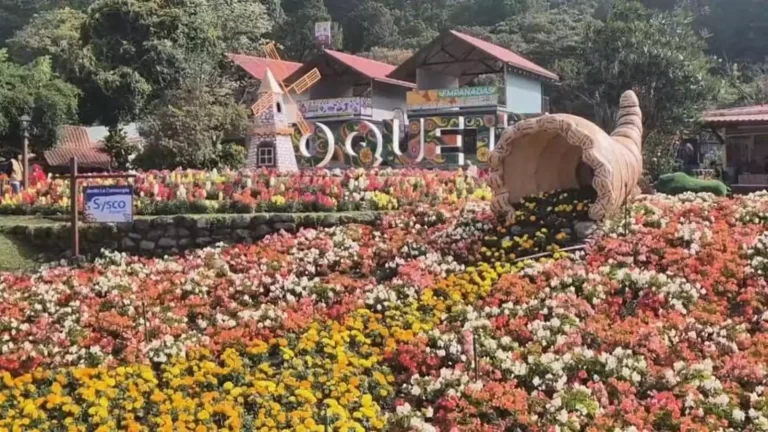 Boquete国际花卉与咖啡博览会开幕周末人气爆棚