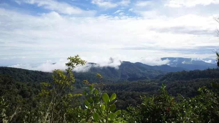 奇省Los Quetzales步道经过改善后重新对外开放