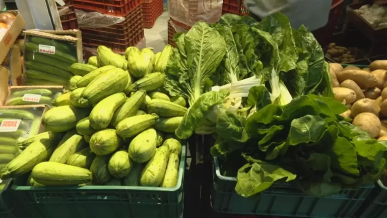 Merca Panamá 警告：若罢工加剧 食品供应或将受阻