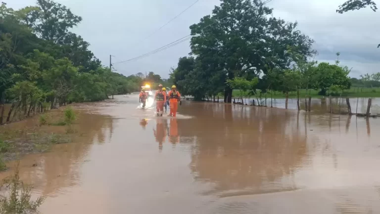 强降雨引发洪水和各省损害
