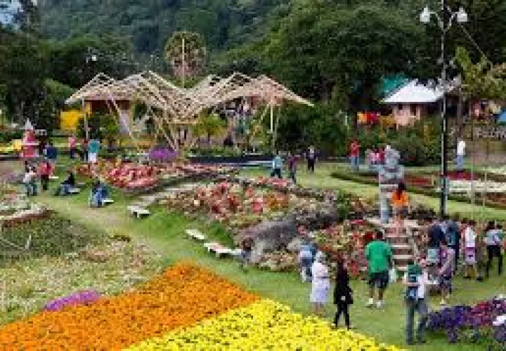 抗议活动严重影响奇省旅游业