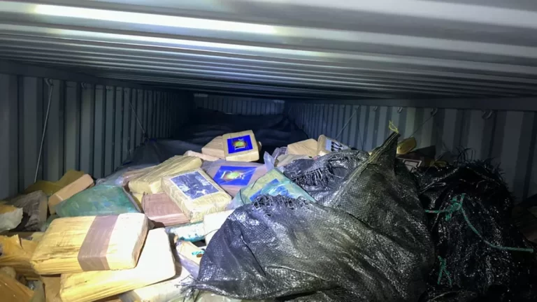 当局在运往德国的集装箱内查获超一吨毒品
