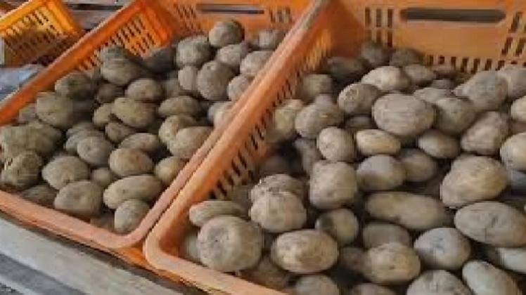 Tierras Altas马铃薯、洋葱价崩 农户陷入生存困境