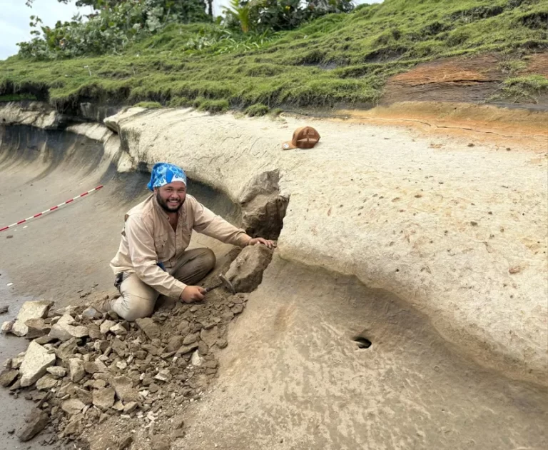 科隆省发现600万年鱼类化石 揭示古代加勒比与太平洋海洋联系