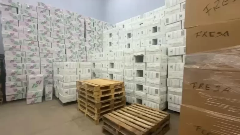 “Khaleesi行动”：巴拿马在科隆自由区对非法贸易展开历史性打击