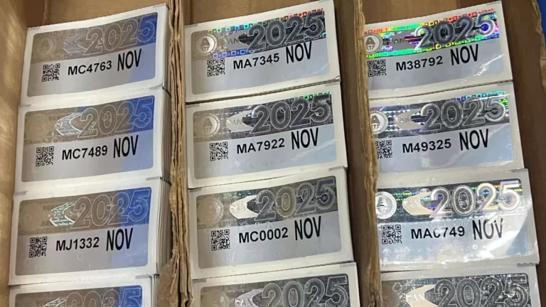 巴拿马市政府启动十一月车牌与贴纸发放并呼吁车主及时办理