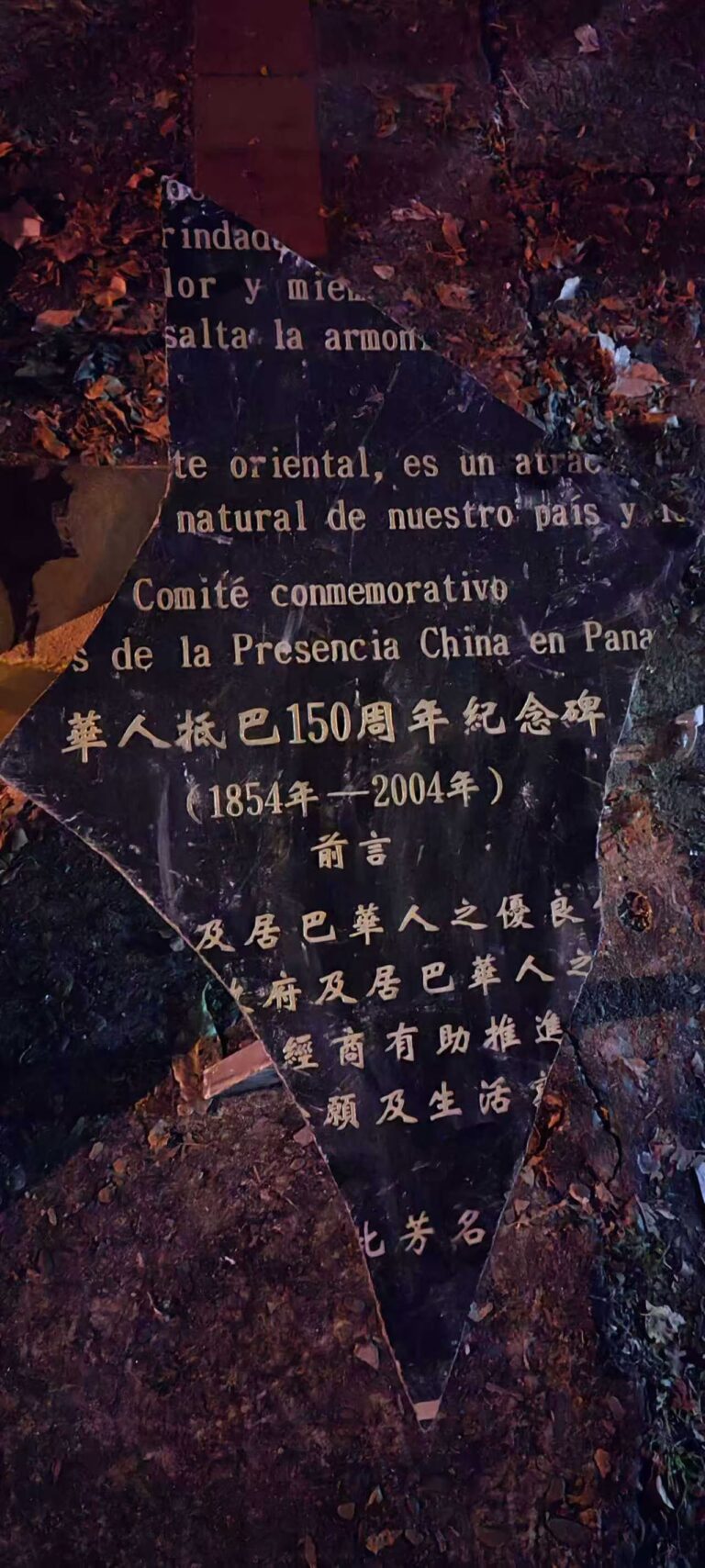 捍卫先辈荣光！旅巴华人的怒吼与坚守