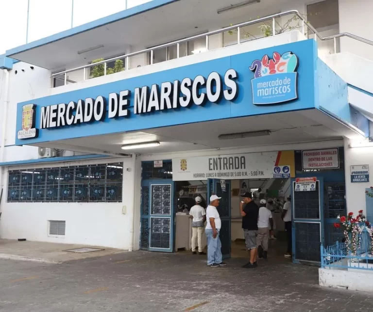 San Felipe Neri 市场与海鲜市场将于 1 月 5 日暂停营业