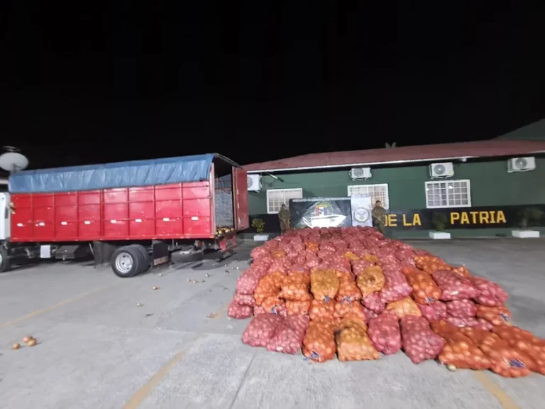 边防局在Paso Canoas查获近400袋无登记洋葱