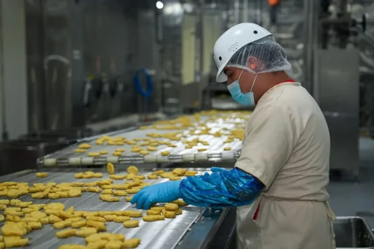 巴拿马禽业提升食品安全认证水平 助力出口增长