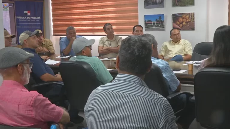 巴拿马农业部长称近期大米价格不会上涨