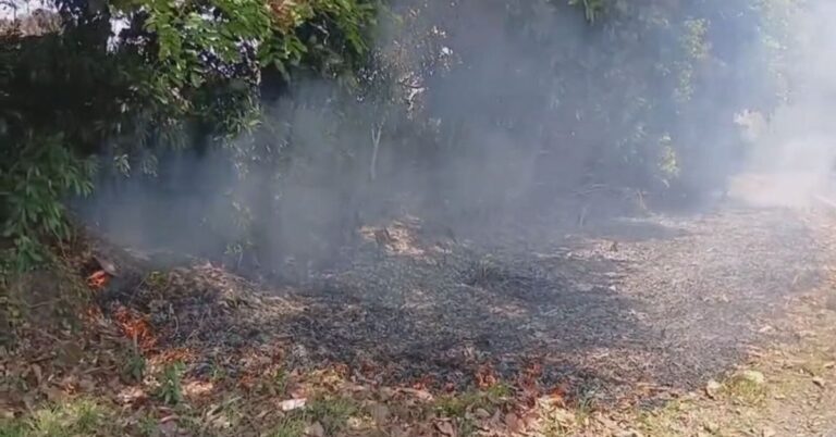 Veraguas发生大规模山林火灾 200多公顷土地被烧毁