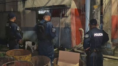 科隆省24小时内连发三起命案 社区安全引发担忧