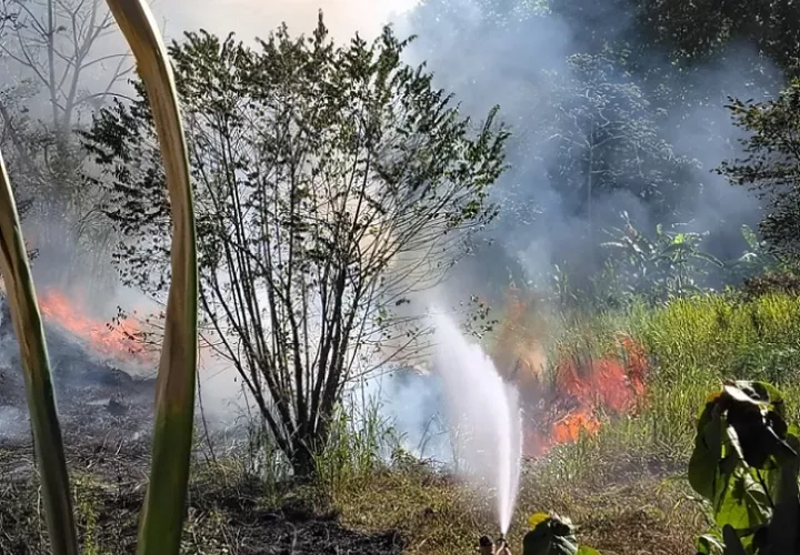 火情频发：巴拿马平均每两小时一起植被火灾